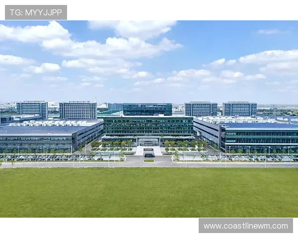 凯发登录首页网址最新入口，安全稳定的官方登录平台推荐