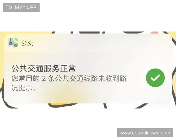 凯发网网站会员注册流程优化建议提升注册效率的实用技巧